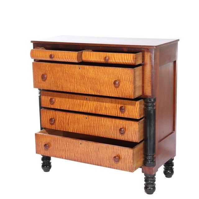 Antique American Empire Ebonized Cherry & Tiger Maple 6 Drawer Chest C1840. Measures - 56 1/2" x 48 5/8" x 22". This...
