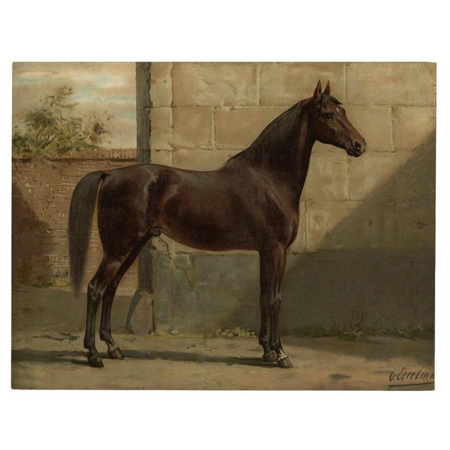 Late 19th Century East Prussian Horse, 1898, Print For Sale - Image 5 of 5