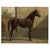 Late 19th Century East Prussian Horse, 1898, Print For Sale - Image 5 of 5