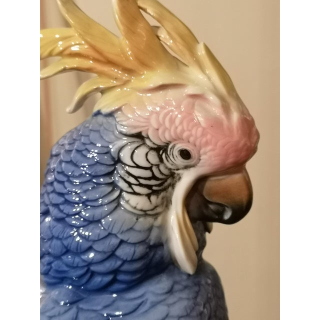 Blue Porcelain Parrot Figurine by Karl Ens, Saxe, 19th Century For Sale - Image 6 of 12