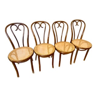 Early 20th Century Fmg Bentwood Cafe Chair A-16 - Set of 4 For Sale