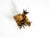 Metal Small Ceiling Lamp by Banci Firenze, Italy, 1960s For Sale - Image 7 of 18