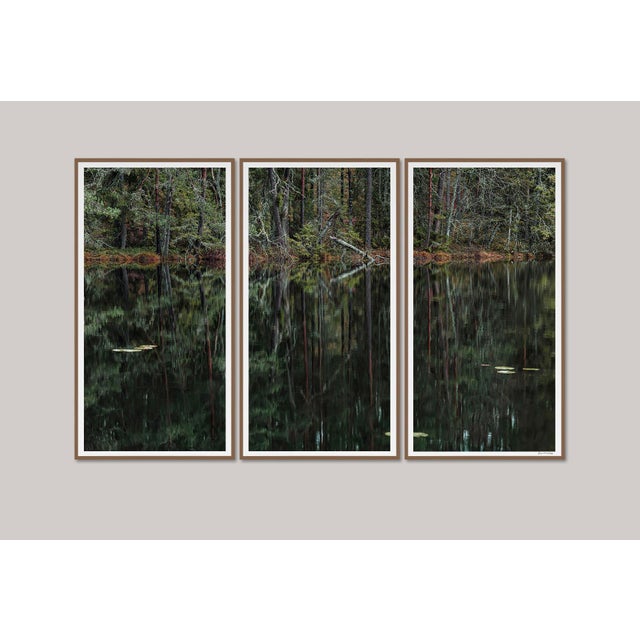 Contemporary "Deep_Mirroring_Forest_006" Triptych, Limited Edition Fine Art Photograph by Bernhard Lang, Set of 3 For Sale - Image 3 of 12