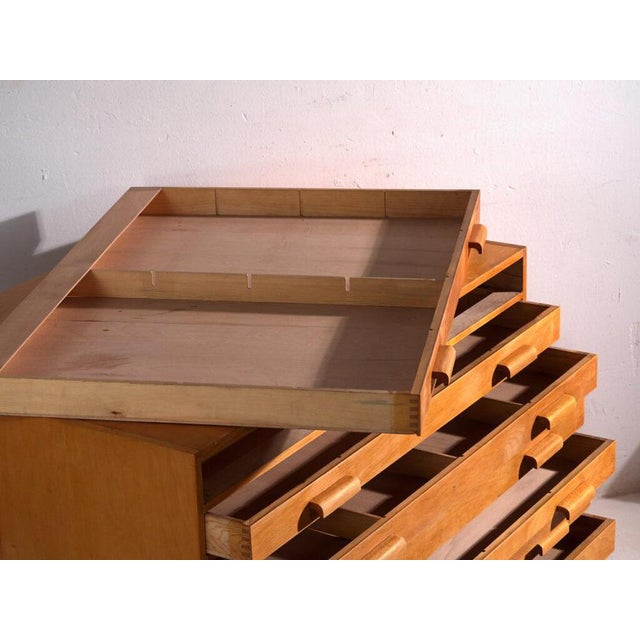 Antique Plan Chest in Beech, Central Europe, 1960 For Sale - Image 5 of 14