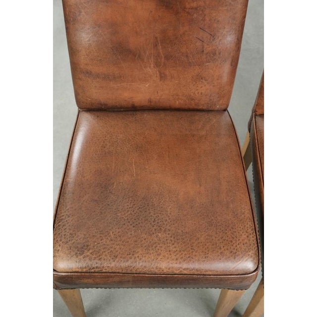 Vintage Dining Chairs in Sheepskin with a High Back, Set of 6 For Sale - Image 6 of 12