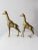 Mid-Century Modern Mid Century Brass Giraffes Pair For Sale - Image 3 of 13