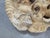Stone Fountain Head of Neptune and Dragons For Sale - Image 7 of 10