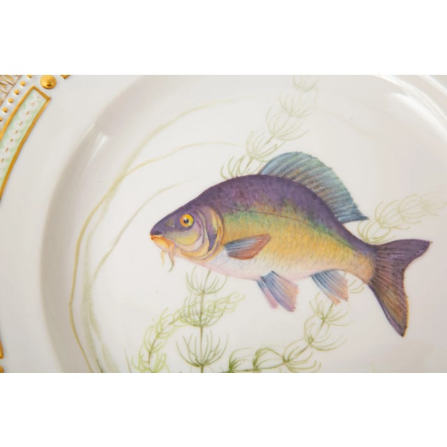 Royal Copenhagen Flora Danica Fish Plates, Vintage and Vibrantly Painted, Royal Copenhagen - Set of 12 For Sale - Image 4 of 13