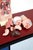Vintage Anatomical Model, Germany, 1950s For Sale - Image 3 of 9