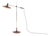 Adjustable Floor Lamp by Georges Frydman for Temde, 1960s For Sale