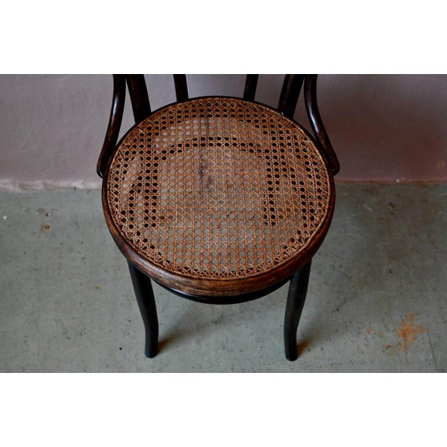 N°18 Chairs in Bentwood, Set of 2 For Sale - Image 6 of 14