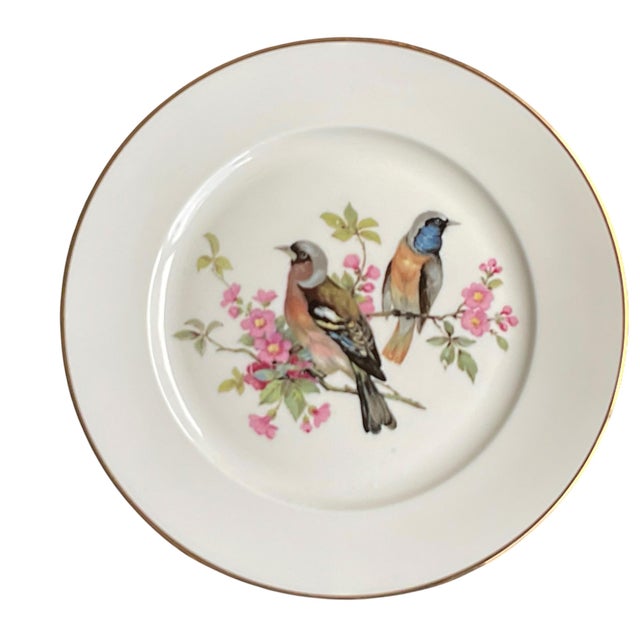 Mid 20th Century Porcelain Song Bird Plates JKW Western Germany, Set of 6 For Sale - Image 4 of 18