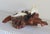 Vintage John Perry Dolphin Pod Sculpture on Natural Burlwood Base – 14" For Sale - Image 11 of 12