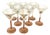 Vintage Rose Martini Glasses from Luminarc, France, 1970s, Set of 8 For Sale