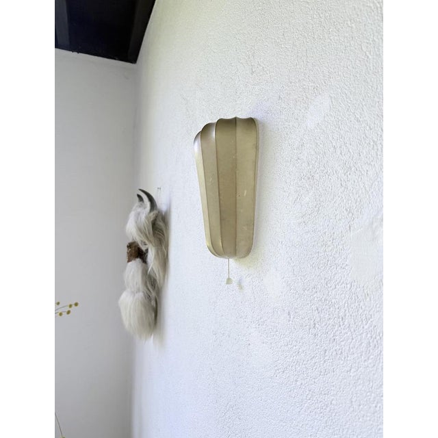 Cocoon Wall Light by Friedel Wauer for Goldman, Germany, 1960s For Sale - Image 18 of 18