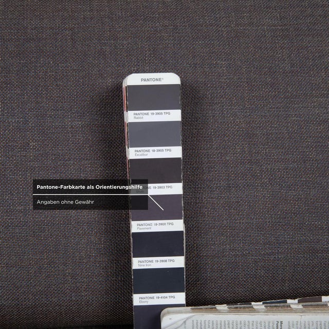 Grey Grata 3-Seater Sofa from Rolf Benz For Sale - Image 6 of 11