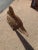 Vintage Marlin Rope Sculpture For Sale - Image 4 of 7