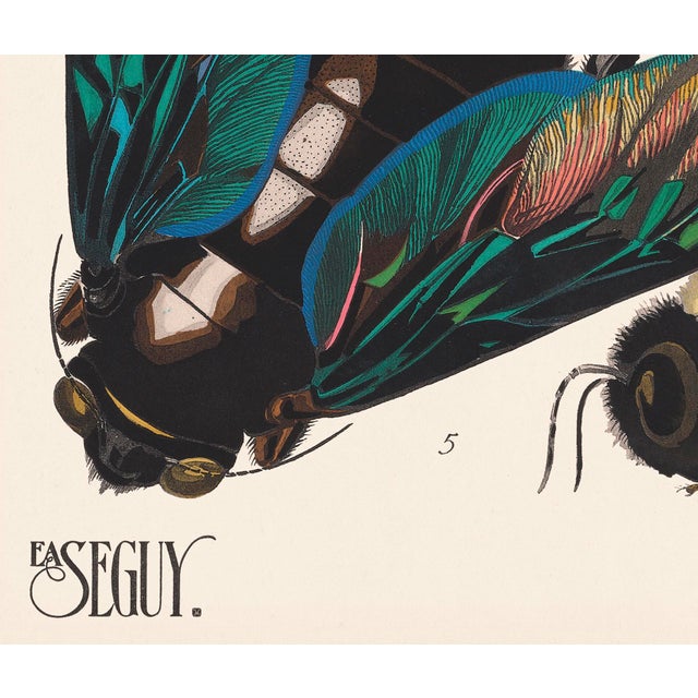 Insects Plate 5 Giclee Reproduction Art Print After Emile Allain Séguy For Sale - Image 4 of 4