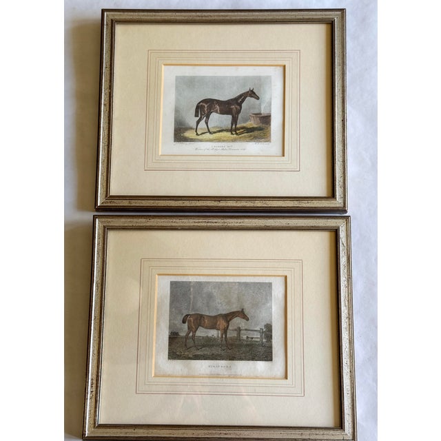 Sculpture Materials Mid 19th Century Set of 8 Antique English Hand-Colored Equestrian Engravings For Sale - Image 7 of 12