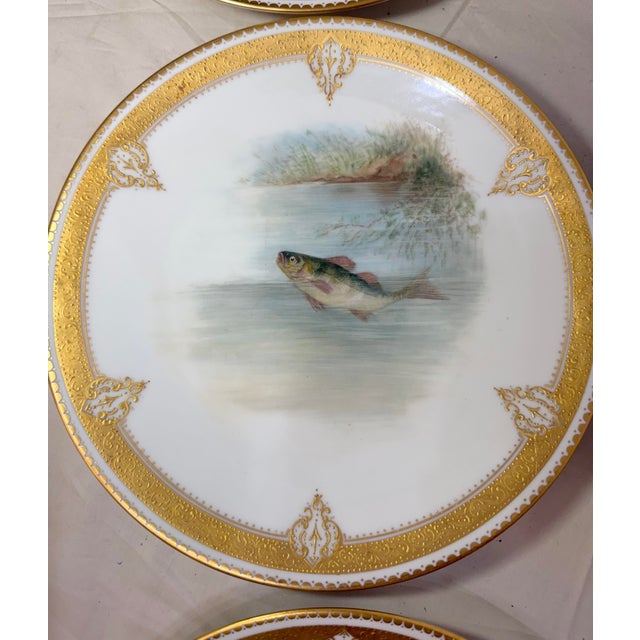 Figurative Set of 6 Antique 1800's Hand Painted Limoges Tressemanes & Vogt Porcelain Fish Plates For Sale - Image 3 of 18