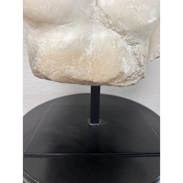 Rh Roman Discus Thrower Classical Sculpture Fragment on Stand For Sale - Image 11 of 12