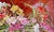 Impressionist Oil Painting a Bouquet of Freesias Kotmin Olga For Sale - Image 3 of 6