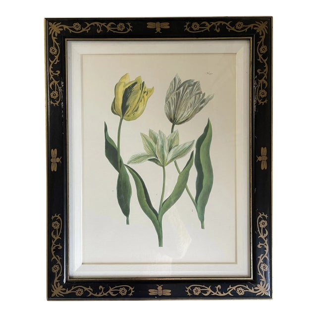 Scully & Scully Tulip Mania #991 Lithograph For Sale