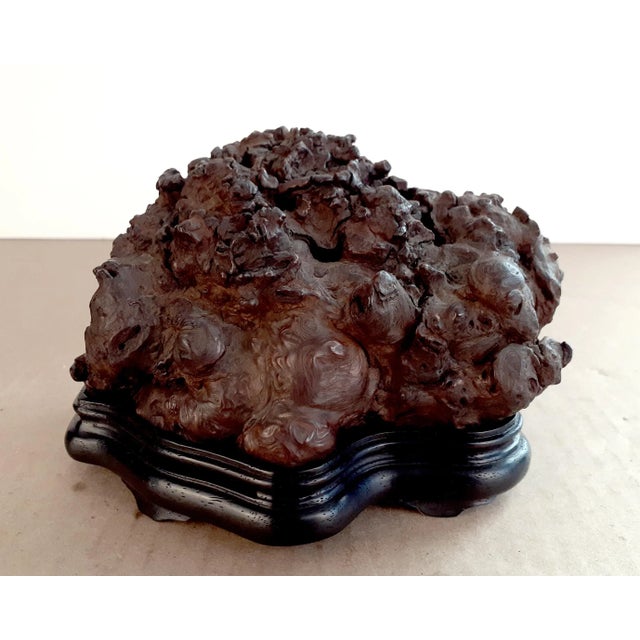 Early 20th Century Chinese Burlwood Censer For Sale - Image 9 of 9