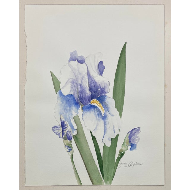 Traditional 1995 Julie Stephens Iris Still Life Watercolor For Sale - Image 3 of 4