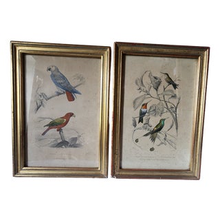 Buffon, Animal Composition, 1853, Pigment Prints, Framed, Set of 2 For Sale