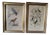 Buffon, Animal Composition, 1853, Pigment Prints, Framed, Set of 2 For Sale