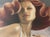 Elegant and sophisticated framed giclée print by contemporary artist Maryanne Haggerty, featuring a striking red-haired...