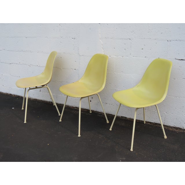Mid-Century Modern Herman Miller Eames Set of 3 Fiberglass Shell Chairs 1960s Light Yellow 6640 For Sale - Image 3 of 18