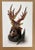 If you can't afford a masterwork of Oaxacan wood carving, you can still enjoy one, with this limited edition print of one...