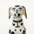 Early 18th Century Delft Figure of a Seated Dog For Sale - Image 5 of 13
