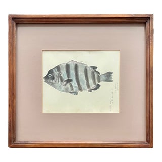 Mid Century Japanese Watercolor "The Fish" For Sale