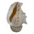 Vintage Shell Lamp For Sale