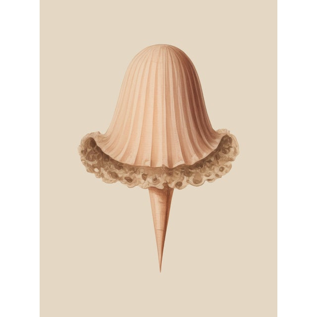 Set of 12 – Sea Forms | Sea Shells Natural History Fine Art Prints | Unframed For Sale - Image 11 of 14