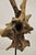 Mid 20th Century Vintage Abstract Sculpted Wood Sculptural Free Form Table Sculpture Statue For Sale - Image 5 of 12