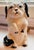 White Antique Ceramic Puppy Dog 3-Way Electric Plug Figurine, 1920-40 For Sale - Image 8 of 12