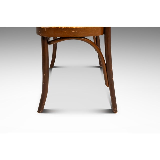 Single Patinaed Bentwood Prague Model 811 Side Chair by Josef Frank for Stendig W/ Original Cane Seat & Back, Poland, C. 1960s For Sale - Image 10 of 18