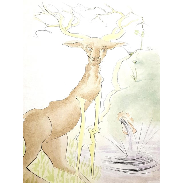 Wood Salvador Dali - Le Cerf from Le Bestiaire de la Fontaine - Signed Engraving 1974 For Sale - Image 7 of 9