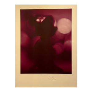 Todd Gray Color Iris Photo Print Conceptual Cartoon Toy Minnie Mouse Photograph Todd Gray c.1997