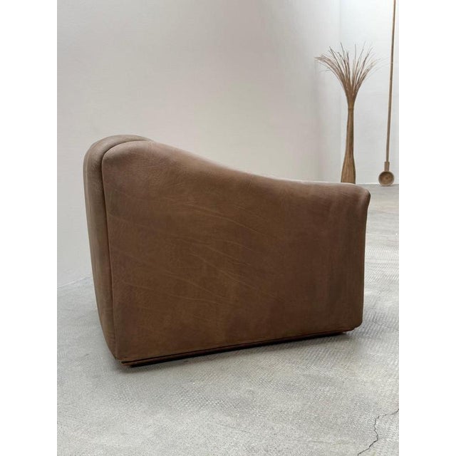 DS-47 Chair in Buffalo Leather from De Sede, Switzerland, 1970s For Sale - Image 6 of 14