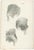 Jules Cloquet, French Anatomical Lithographs of the Spine and Pelvis, 1821, Lithograph, Set of 3 For Sale - Image 6 of 10
