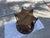Vintage Art Deco Burl Wood & Églomisé Glass Accent Table With Brass Details For Sale - Image 11 of 12