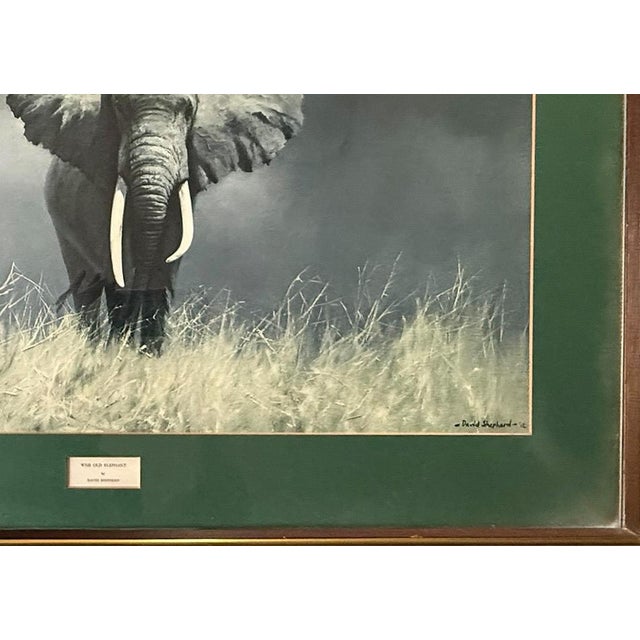 Large Vintage David Shepherd Wise Old Elephant Lithograph 37x27 For Sale - Image 10 of 11