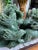 Hollywood Regency 175 LBS Monumental Running Imperial Jade Sculpture For Sale - Image 3 of 7