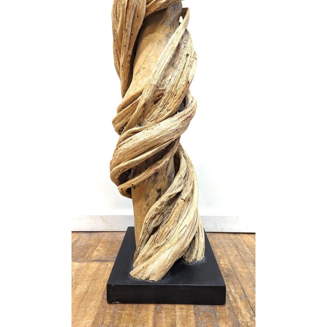 2000 - 2009 Natural Liana Vine Sculpture For Sale - Image 5 of 12