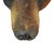 Animal Skin Vintage Black Bear Taxidermy Head Mount C1950 For Sale - Image 7 of 8